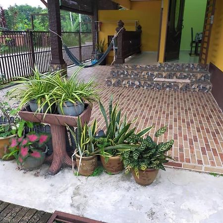 Rumah Tumpangan Di Kuala Terengganu, Terengganu Homestay D Exterior photo